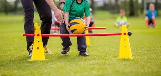 棒球与智慧场馆：解析5G网络如何提升球场内数万人的即时体验