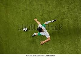 解析多伦多蓝鸟作为加拿大唯一队的优势